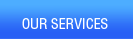 Dominion Technology Services